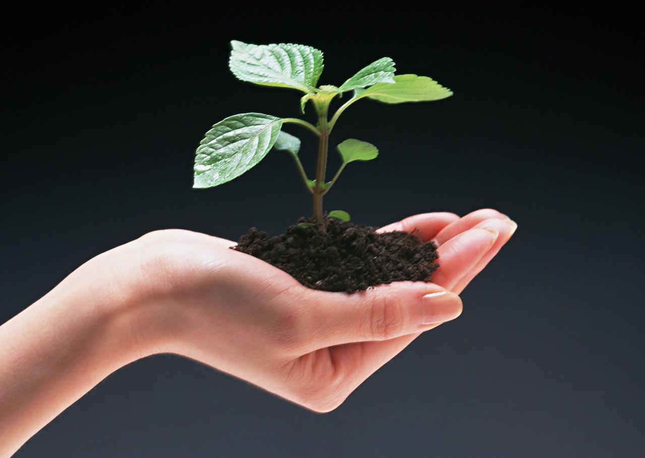 环境监测的大蛋糕